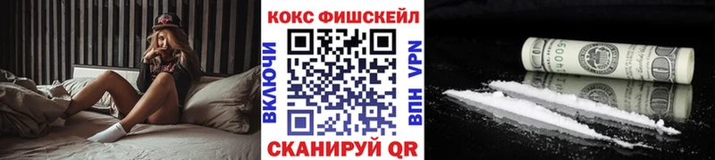 Купить закладки  Приволжск  Кокаин Эквадор 