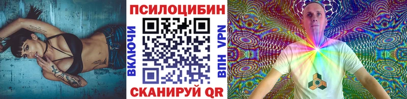 Псилоцибиновые грибы Psilocybe  Купить  Приволжск 